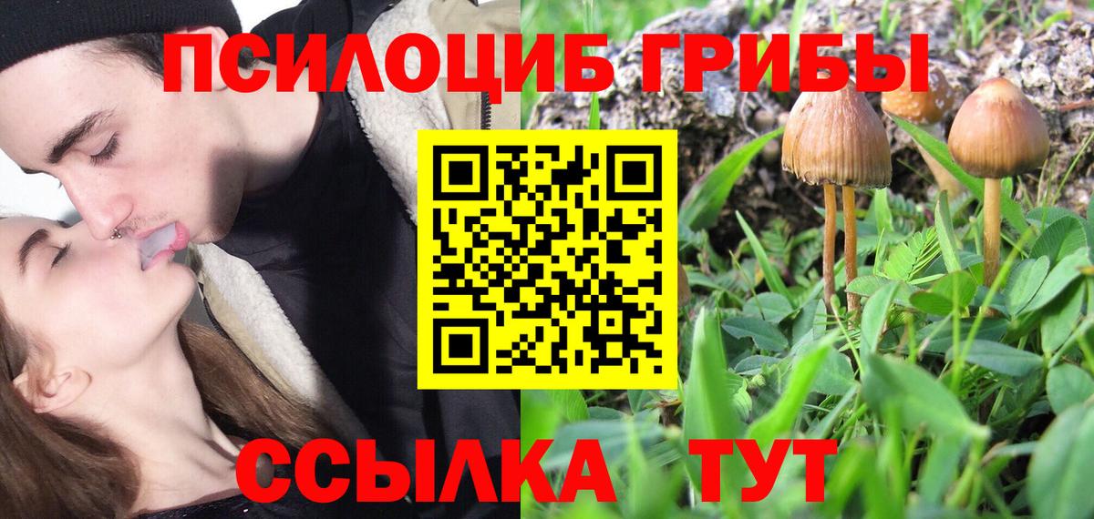 Галлюциногенные грибы Cubensis Дубна