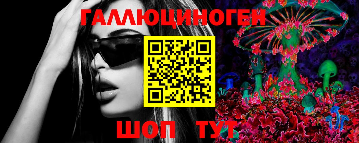 МЕТАДОН Дубна