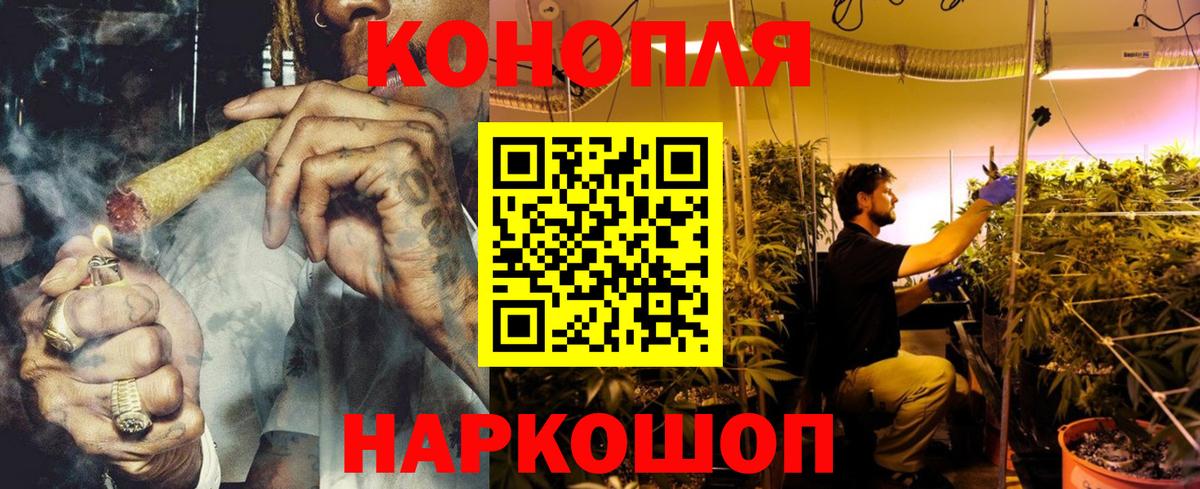 Бошки марихуана планчик  Марихуана сатива  МАРИХУАНА семена  Вход с VPN  Бошки Шишки Amnesia  Дубна 